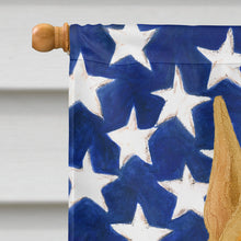 Load image into Gallery viewer, Fawn Doberman Pinscher American Flag House Flag