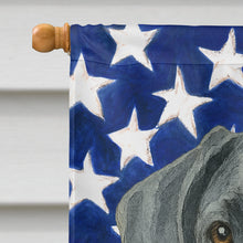 Load image into Gallery viewer, Blue Great Dane American Flag House Flag