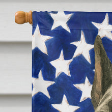 Load image into Gallery viewer, Harlequin Great Dane American Flag House Flag