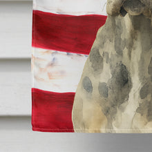 Load image into Gallery viewer, Merle Great Dane American Flag House Flag