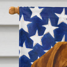 Load image into Gallery viewer, Chocolate Labrador Retriever American Flag House Flag
