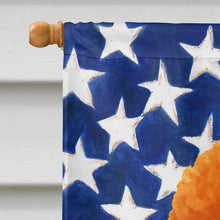 Load image into Gallery viewer, Red Miniature Poodle American Flag House Flag