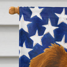 Load image into Gallery viewer, Red and White Border Collie American Flag House Flag