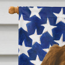 Load image into Gallery viewer, Liver and White Brittany American Flag House Flag