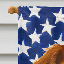 Load image into Gallery viewer, Orange and White Brittany American Flag House Flag