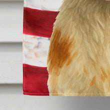 Load image into Gallery viewer, Orange and White Brittany American Flag House Flag