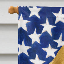 Load image into Gallery viewer, Buff Cocker Spaniel American Flag House Flag