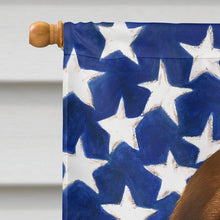 Load image into Gallery viewer, Chocolate Cocker Spaniel American Flag House Flag