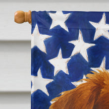 Load image into Gallery viewer, Red Tri American ShepherdAmerican Flag House Flag