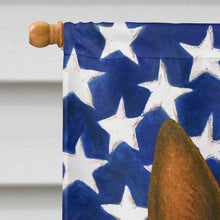 Load image into Gallery viewer, Mahogany Belgian Malinois American Flag House Flag