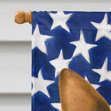 Load image into Gallery viewer, Chocolate Chihuahua American Flag House Flag