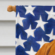 Load image into Gallery viewer, Vizsla American Flag House Flag