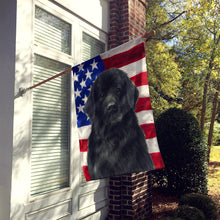Load image into Gallery viewer, Black Newfoundland American Flag House Flag