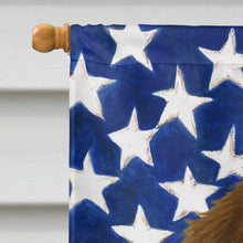 Load image into Gallery viewer, Brown Newfoundland American Flag House Flag