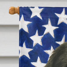 Load image into Gallery viewer, Landseer Newfoundland American Flag House Flag