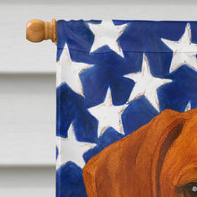 Load image into Gallery viewer, Red Rhodesian Ridgeback American Flag House Flag