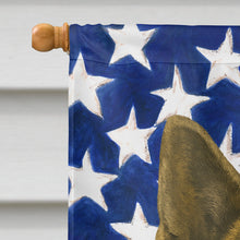 Load image into Gallery viewer, Brindle Akita American Flag House Flag