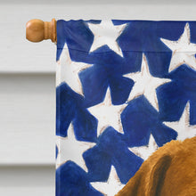 Load image into Gallery viewer, Brown Chesapeake Bay Retriever American Flag House Flag