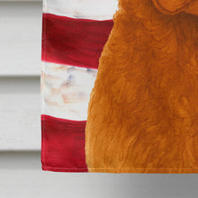 Load image into Gallery viewer, Sedge Chesapeake Bay Retriever American Flag House Flag