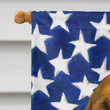 Load image into Gallery viewer, Liver and Tan Bloodhound American Flag House Flag