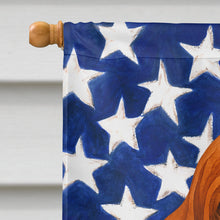 Load image into Gallery viewer, Red Bloodhound American Flag House Flag