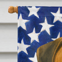 Load image into Gallery viewer, Fawn Bullmastiff American Flag House Flag