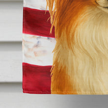 Load image into Gallery viewer, Red Papillon American Flag House Flag
