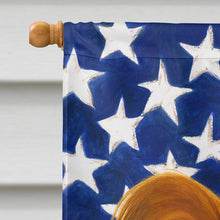 Load image into Gallery viewer, White with Red Papillon American Flag House Flag