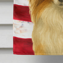 Load image into Gallery viewer, White with Sable Papillon American Flag House Flag