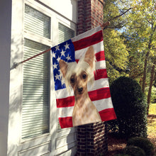 Load image into Gallery viewer, Hairless Pink and Chocolate Chinese Crested American Flag House Flag