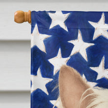 Load image into Gallery viewer, Hairless Pink and Chocolate Chinese Crested American Flag House Flag