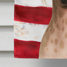 Load image into Gallery viewer, Hairless Pink and Chocolate Chinese Crested American Flag House Flag