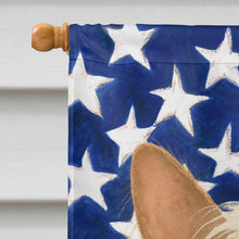 Load image into Gallery viewer, Hairless Mottled Pattern Chinese Crested American Flag House Flag