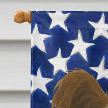 Load image into Gallery viewer, Chocolate and White Powderpuff Chinese Crested American Flag House Flag