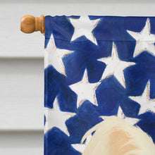 Load image into Gallery viewer, White Powderpuff Chinese Crested American Flag House Flag