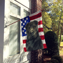 Load image into Gallery viewer, Black Shar Pei American Flag House Flag
