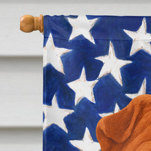 Load image into Gallery viewer, Red Shar Pei American Flag House Flag