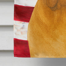 Load image into Gallery viewer, Fawn Dogue de Bordeaux American Flag House Flag