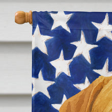 Load image into Gallery viewer, Isabella Dogue de Bordeaux American Flag House Flag