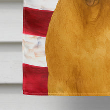 Load image into Gallery viewer, Isabella Dogue de Bordeaux American Flag House Flag