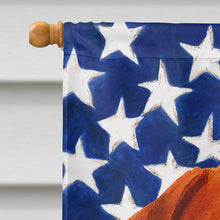 Load image into Gallery viewer, Mahogany Dogue de Bordeaux American Flag House Flag