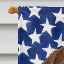 Load image into Gallery viewer, Roan German Wirehaired Pointer American Flag House Flag