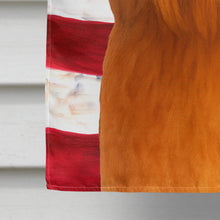 Load image into Gallery viewer, Red Lhasa Apso American Flag House Flag