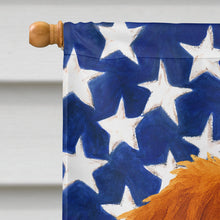 Load image into Gallery viewer, Copper Nova Scotia Duck Tolling Retriever American Flag House Flag