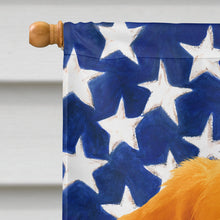Load image into Gallery viewer, Orange Nova Scotia Duck Tolling Retriever American Flag House Flag