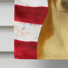 Load image into Gallery viewer, Chocolate and White Rat Terrier American Flag House Flag