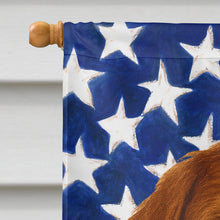 Load image into Gallery viewer, Chestnut Wirehaired Pointing Griffon American Flag House Flag