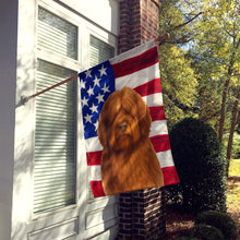 Load image into Gallery viewer, Brown Bearded Collie American Flag House Flag