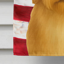 Load image into Gallery viewer, Fawn Bearded Collie American Flag House Flag