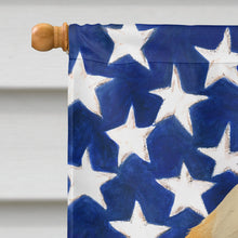 Load image into Gallery viewer, Orange Belton English Setter American Flag House Flag